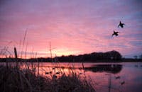 hunting lodges by helicopter